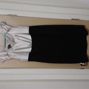 Two Toned Dress